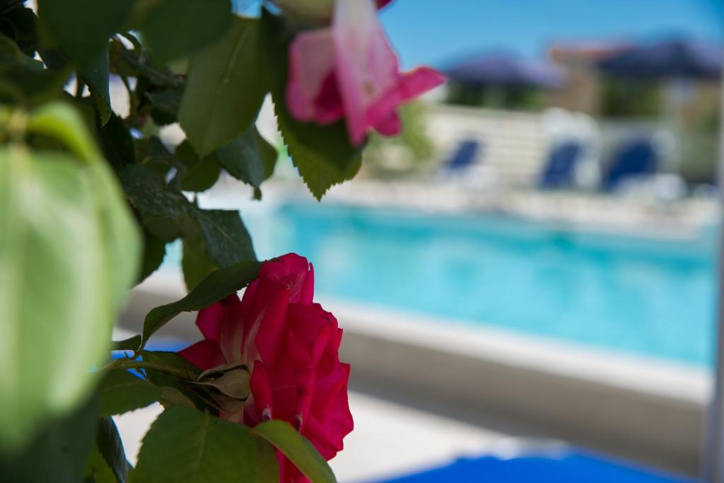 Piscina di Laganas Dreams 2 o nelle vicinanze