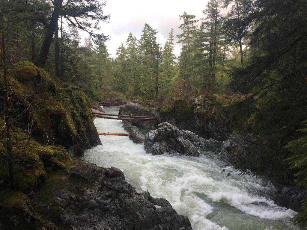 um rio com corredeiras no meio de uma floresta em Ashling Cottage em Qualicum Beach