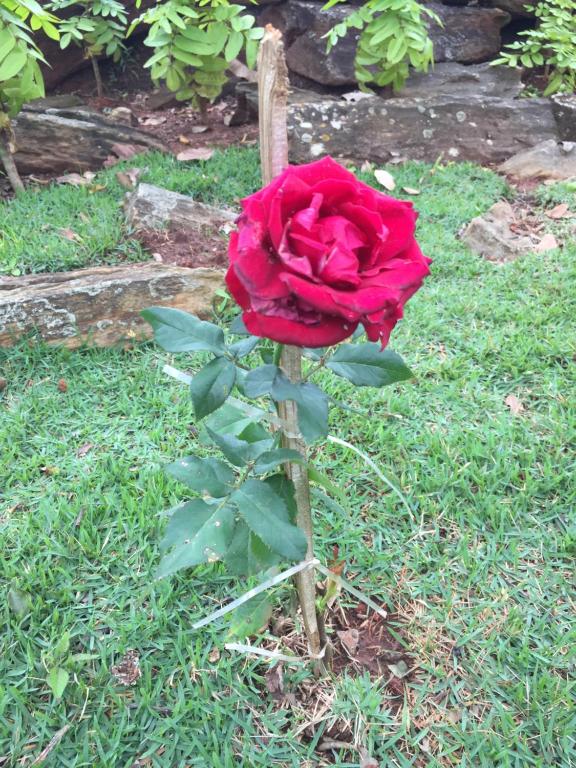  Recanto das Pedras São Leopoldo