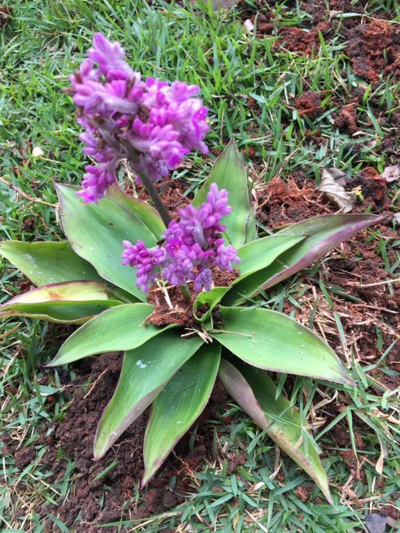  Recanto das Pedras São Leopoldo