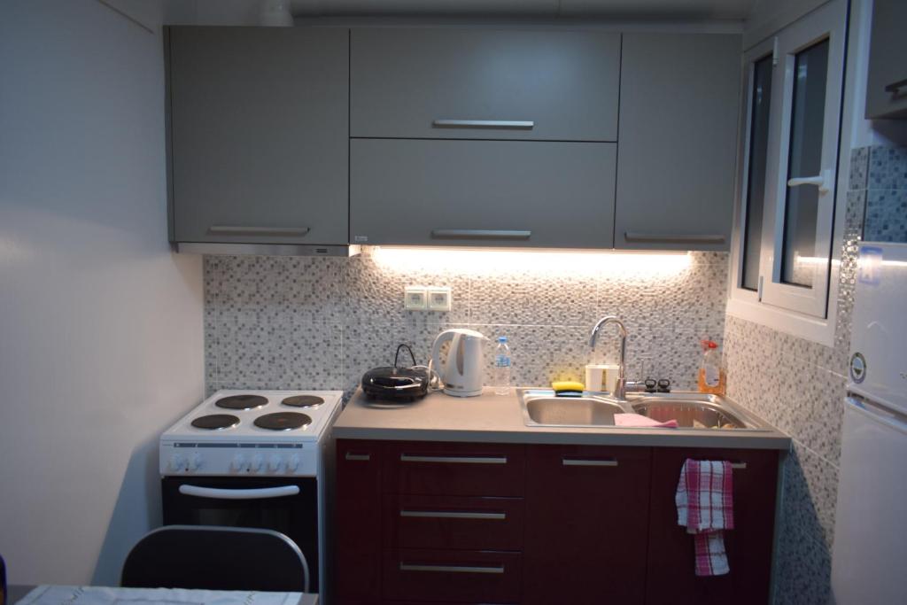 Kuchyň nebo kuchyňský kout v ubytování George apartment