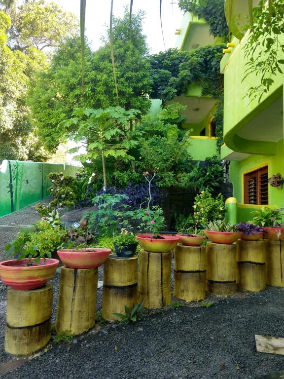  Bamboo Flat