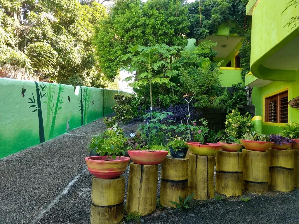  Bamboo Flat