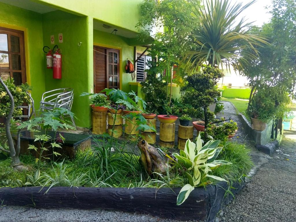  Bamboo Flat