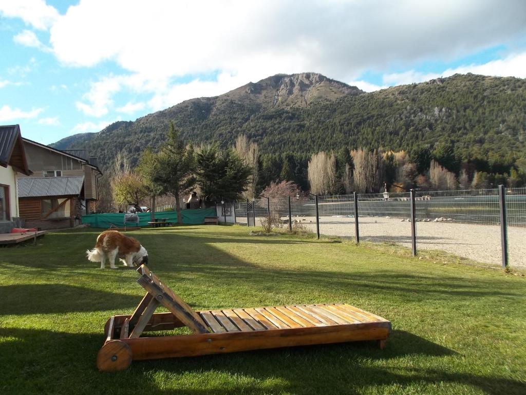 un gatto è in piedi su una panchina nell'erba di Cabañas Kay Hue a San Carlos de Bariloche