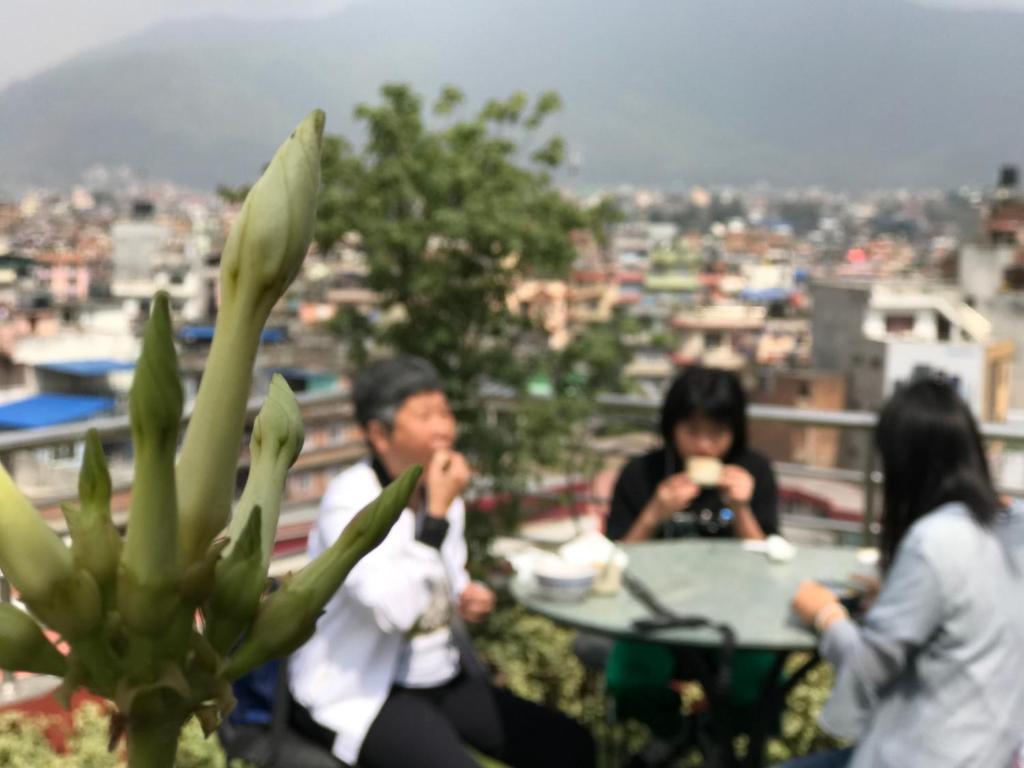 入住达尔文酒店 的客人