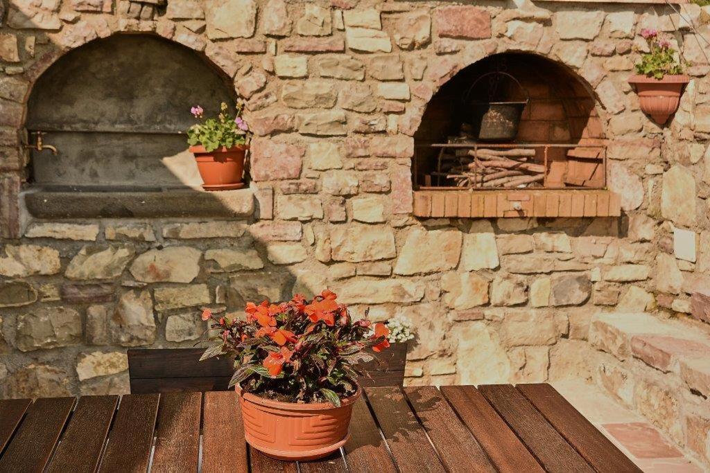 Fotografie z fotogalerie ubytování Callort v destinaci Adrara San Rocco
