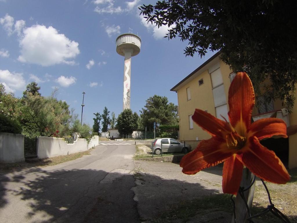 Fotografie z fotogalerie ubytování Delfino Est v destinaci Rosapineta