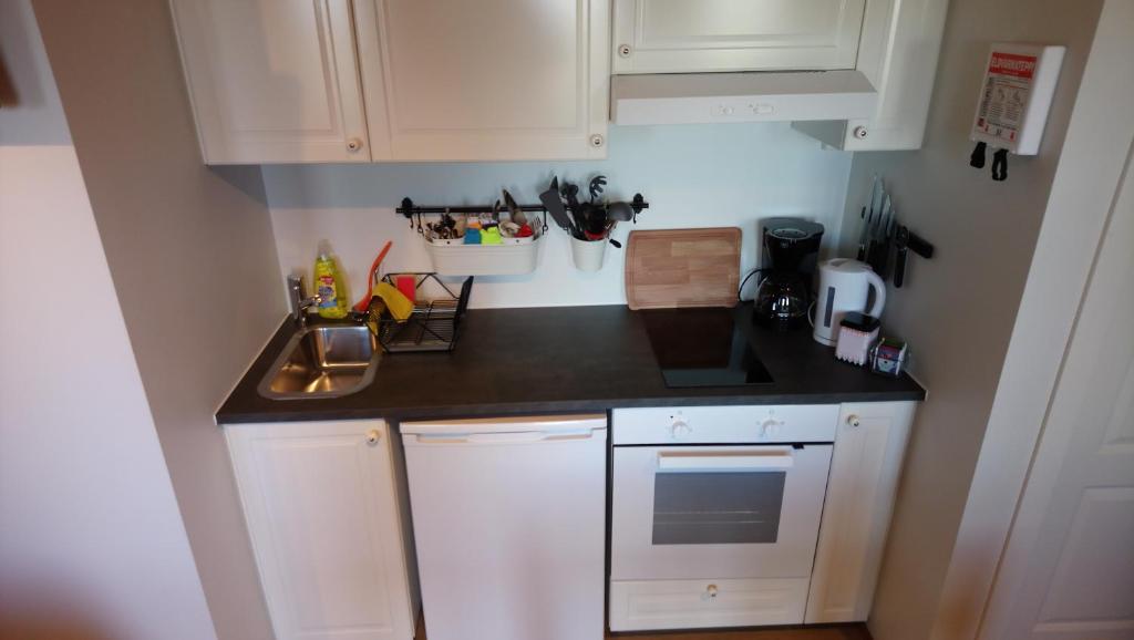 Kuchyň nebo kuchyňský kout v ubytování Lækjaborgir Guesthouse