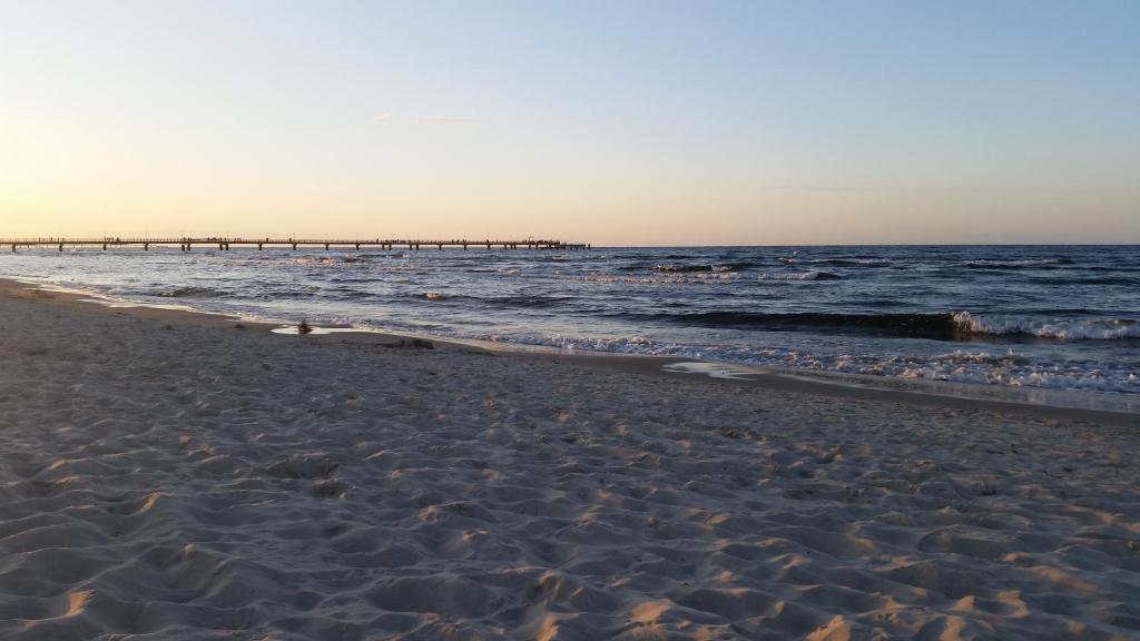 einen Strand mit einem Pier im Ozean in der Unterkunft Haus Adelaide in Ahlbeck