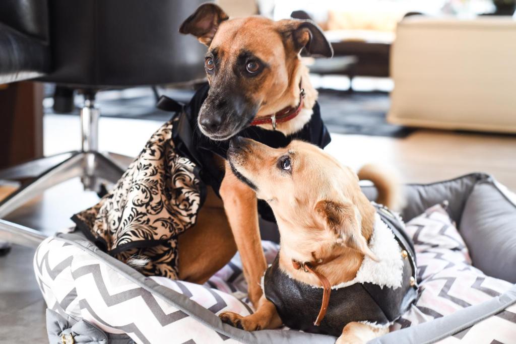 Hotel Refugio da Montanha  Hotel Refugio da Montanha