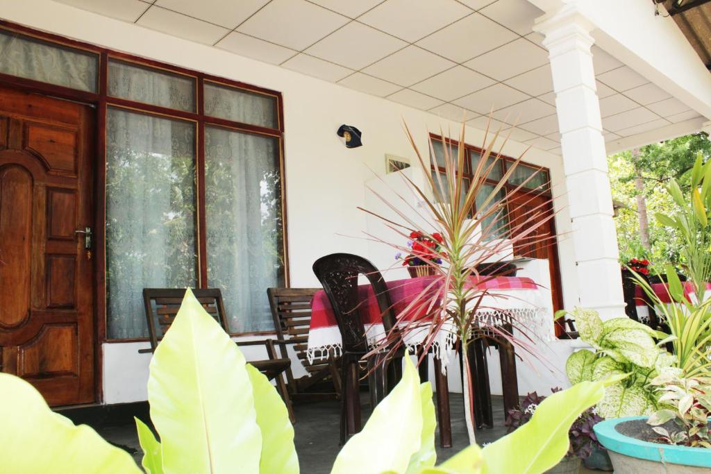 Zahrada ubytování Freedom Home Stay