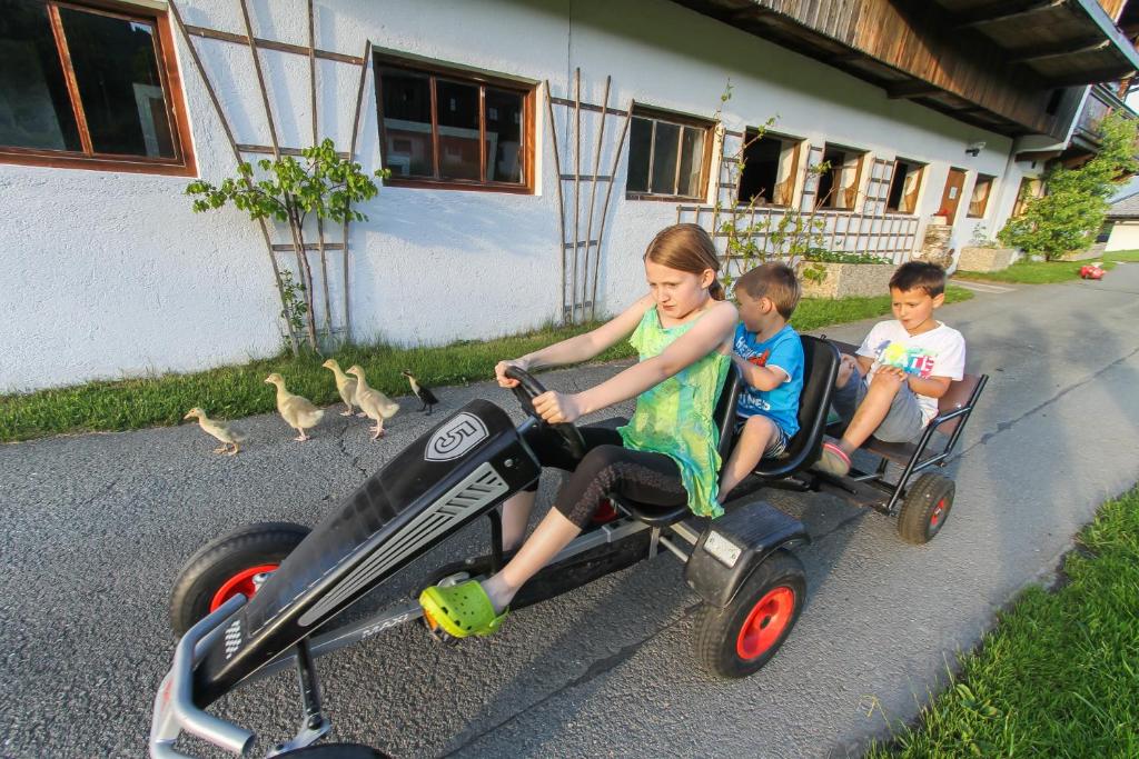 Hostia v ubytovaní Biobauernhof Mittermoos