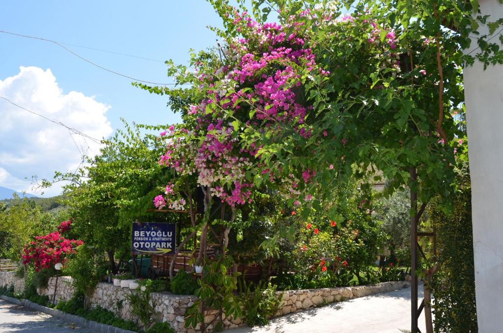 a garden with pink flowers on a wall at Beyoglu Pansiyon in Patara