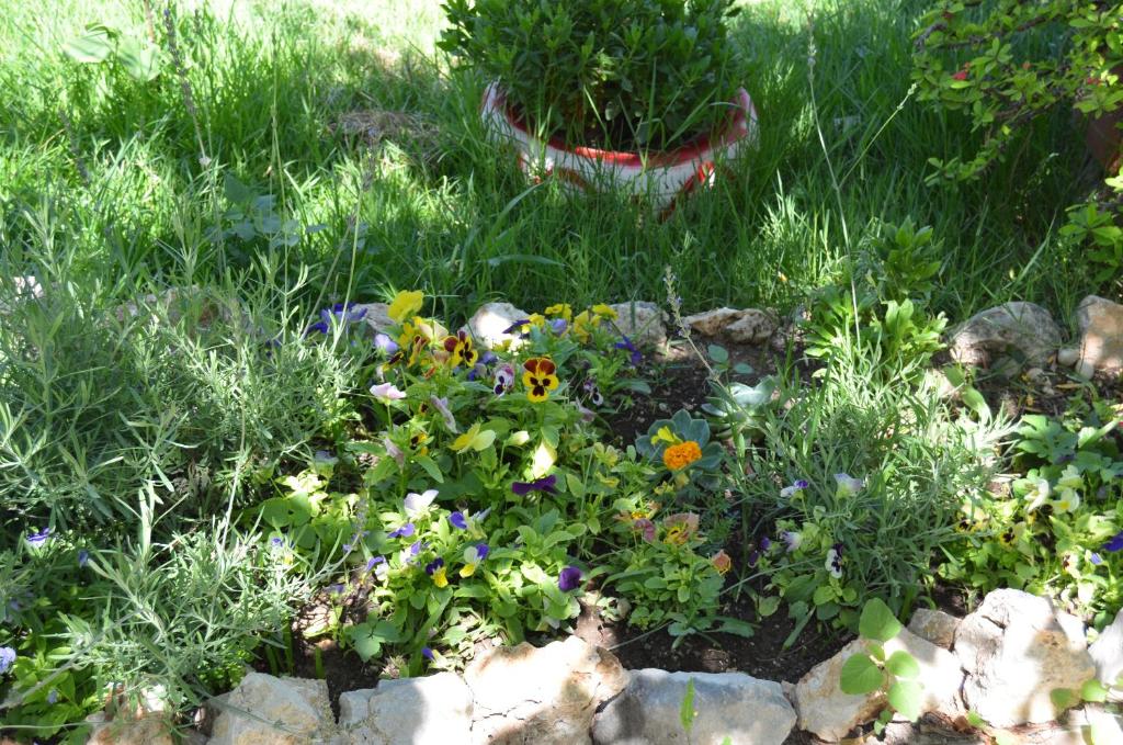 a garden with flowers and rocks in the grass at Beyoglu Pansiyon in Patara