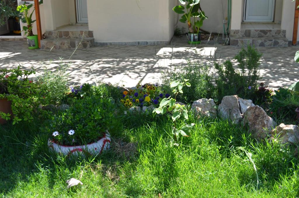 a garden with flowers and rocks in the grass at Beyoglu Pansiyon in Patara