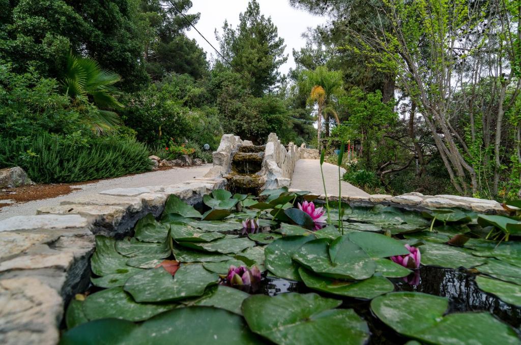 Zahrada ubytování Amirey Hagalil Boutique Hotel