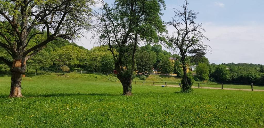 Příroda nedaleko apartmánu