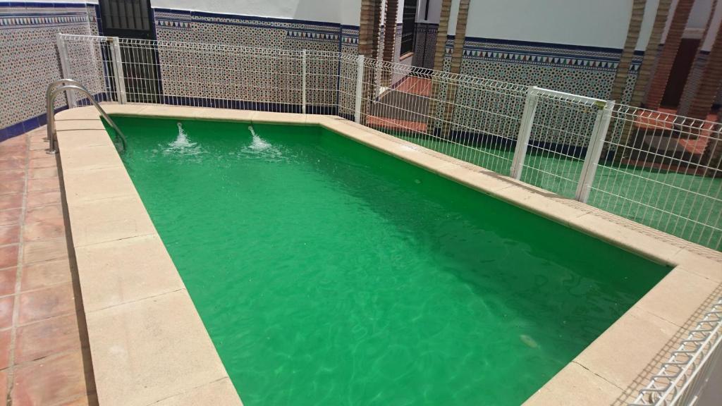 - une piscine d'eau verte dans un bâtiment dans l'établissement El Patio De La Piscina, à Cordoue