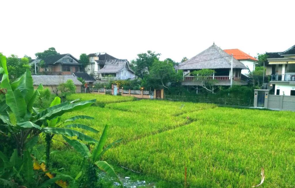 Zahrada ubytování Qiul Guest House