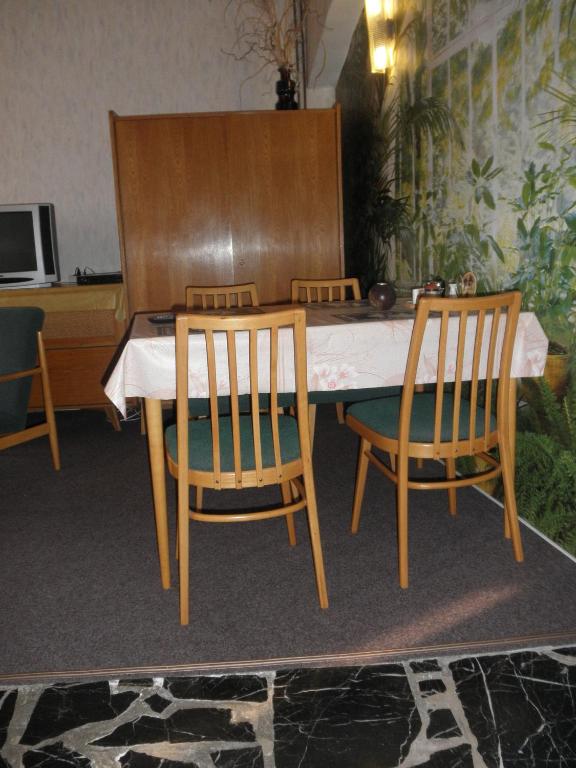 Fotografie z fotogalerie ubytování Pension U Kaktusu v destinaci Karlovy Vary