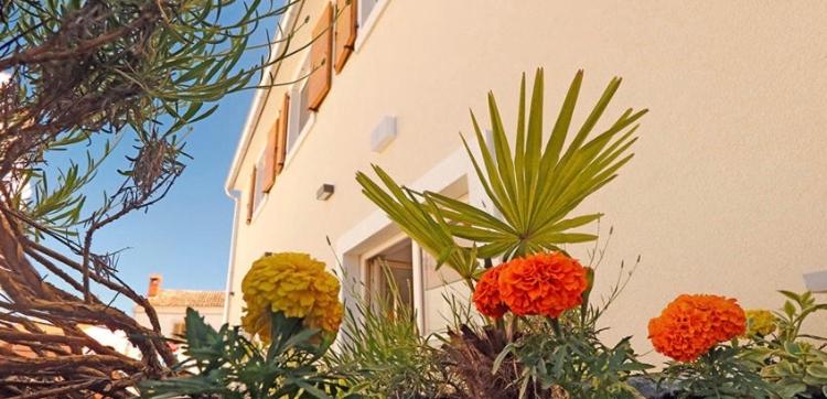 Zahrada ubytování Studio apartman Dado