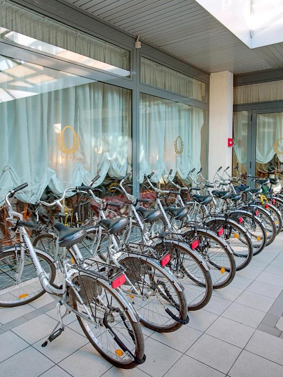 Jízda na kole v ubytování Hotel Orologio nebo okolí