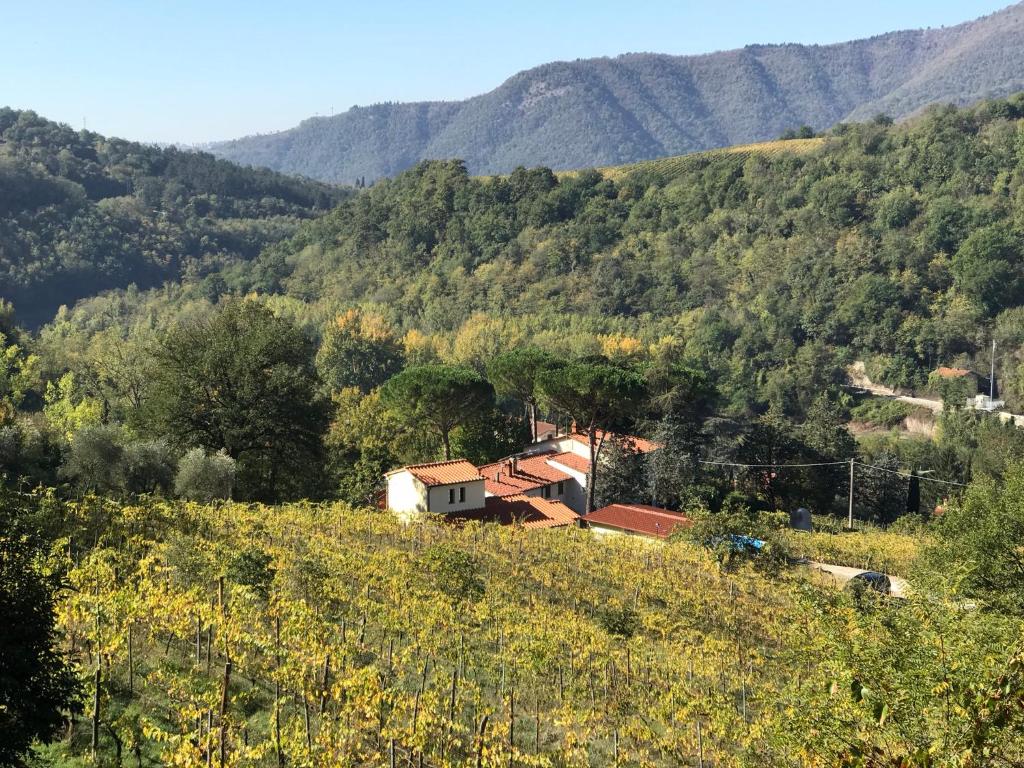 una pequeña casa en una colina con montañas en el fondo en Il Poggiolo ai Casini, en Scopeti