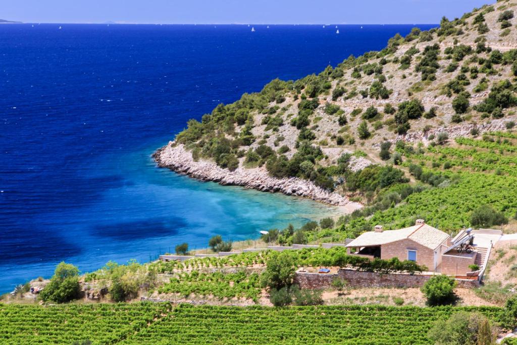 a house on a hill next to the ocean at Robinson Villa Afrodita in Nerežišća
