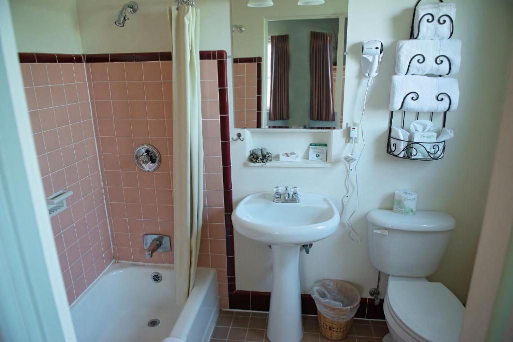 a bathroom with a sink and a toilet and a shower at Rugged Country Lodge in Pendleton
