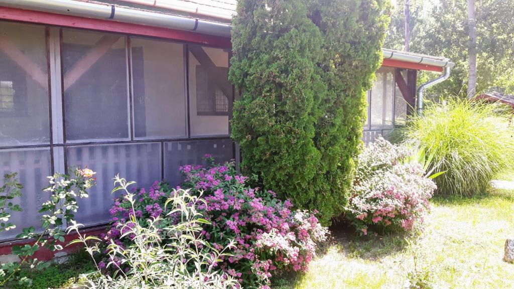 Ein Haus mit einem Blumenstrauß im Hof. in der Unterkunft Tiszai Vándor Apartmanház in Kisköre