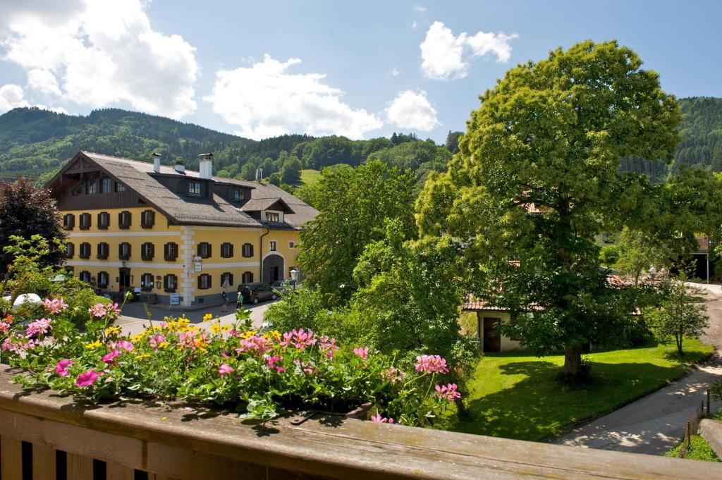 Nespecifikovaný výhled na hory nebo výhled na hory při pohledu z hotelu