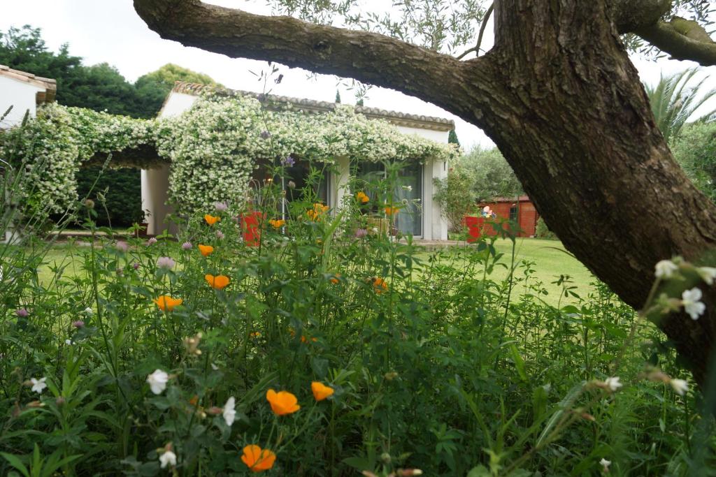a garden with flowers in front of a house at Studio au coeur de la petite camargue in Beauvoisin