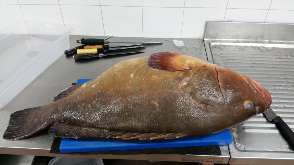 Fotografie z fotogalerie ubytování S'apposenteddu Affittacamere del Ristorante da Stefano v destinaci Teulada