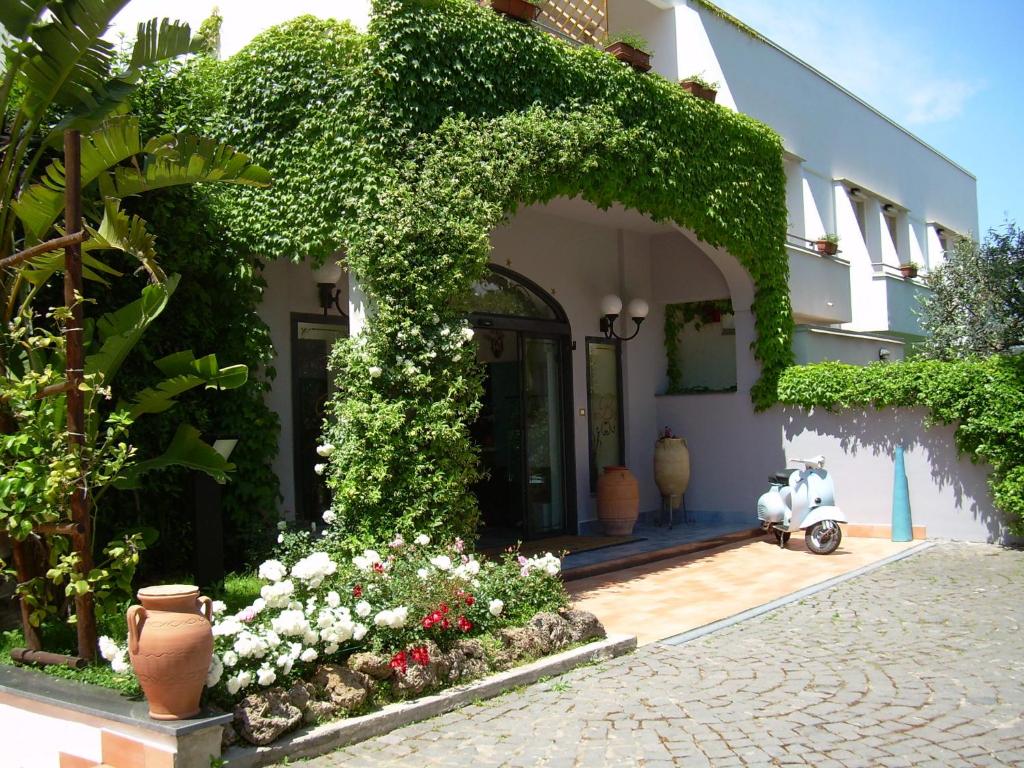 Zahrada ubytování Hotel Baia