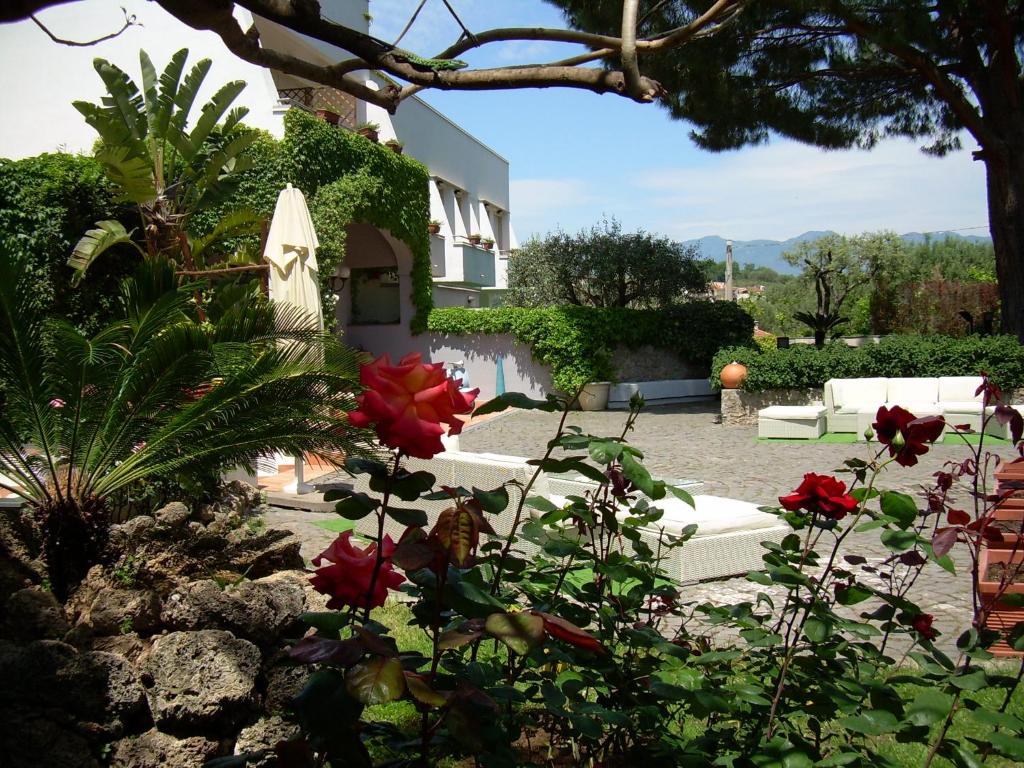 Zahrada ubytování Hotel Baia