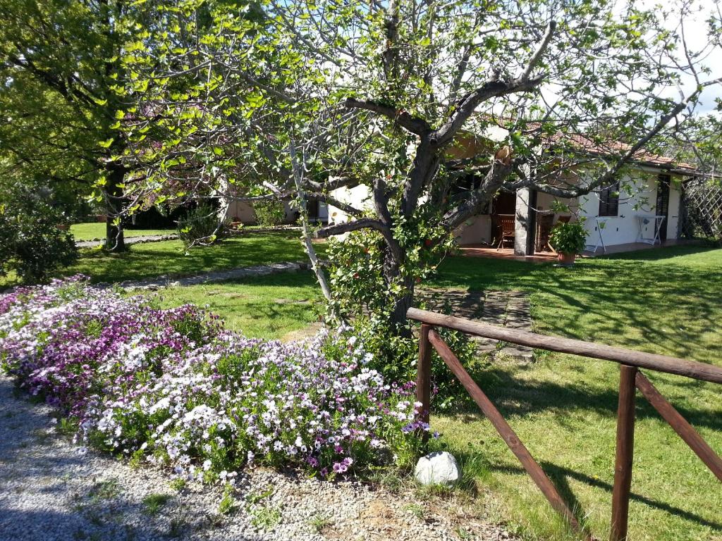 a garden with flowers in front of a house at Agriturismo Sicomoro in Capalbio