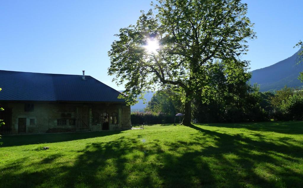 a tree in a field next to a house at Le pré aux clercs in Trévignin