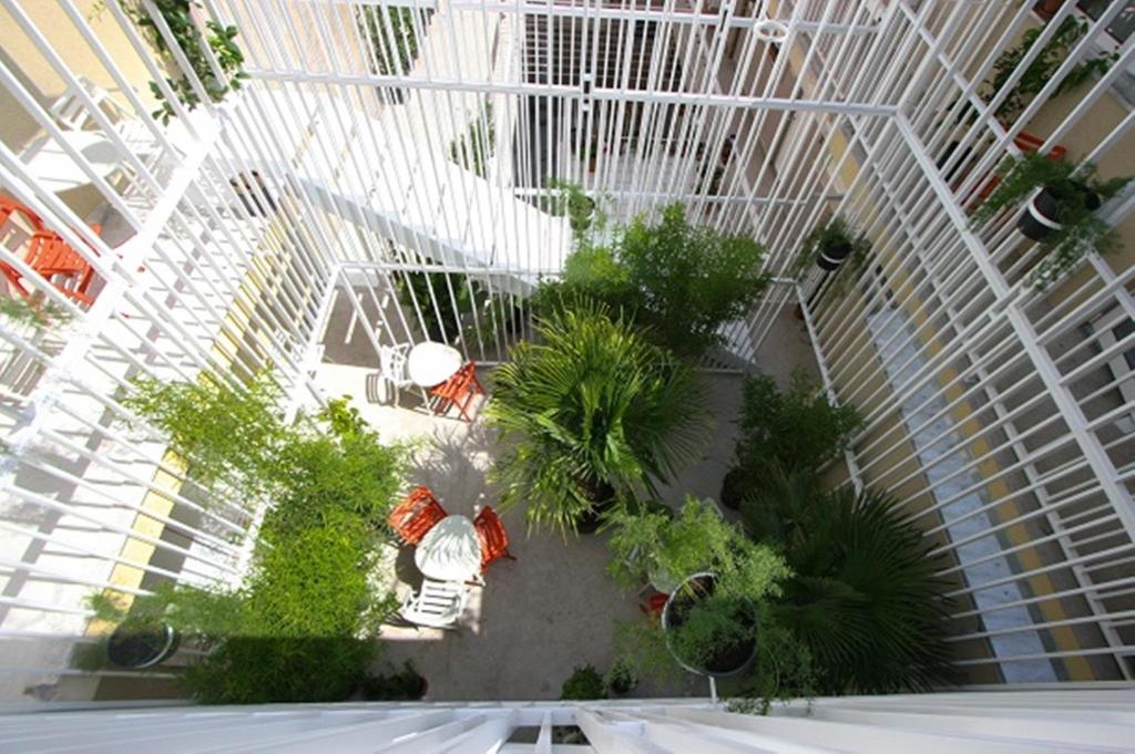 Zahrada ubytování Boutique Hostel Forum
