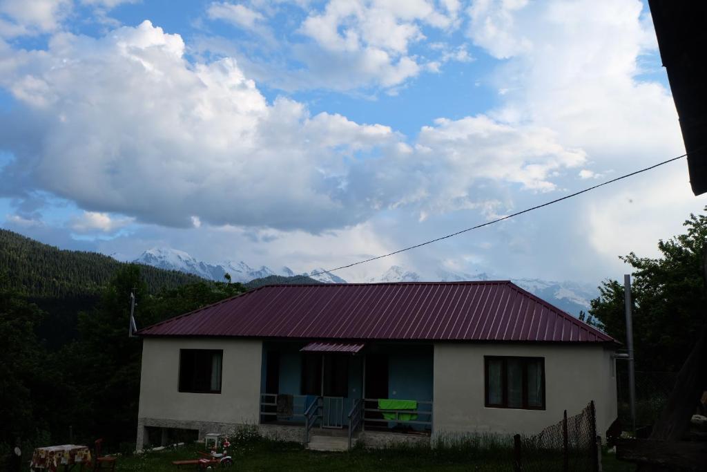 Příroda nedaleko penzionu
