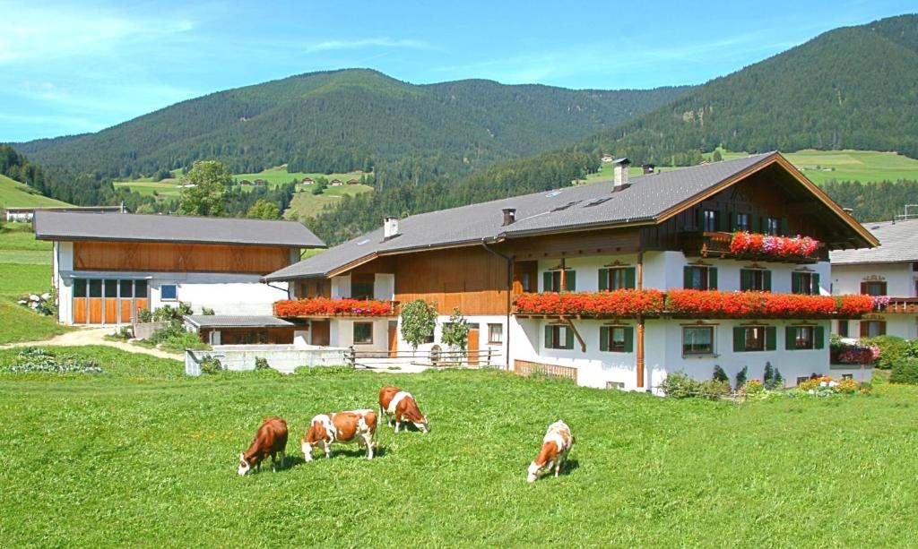 un groupe de vaches pacant dans un champ devant une maison dans l'établissement Landhof, à Monguelfo-Tesid
