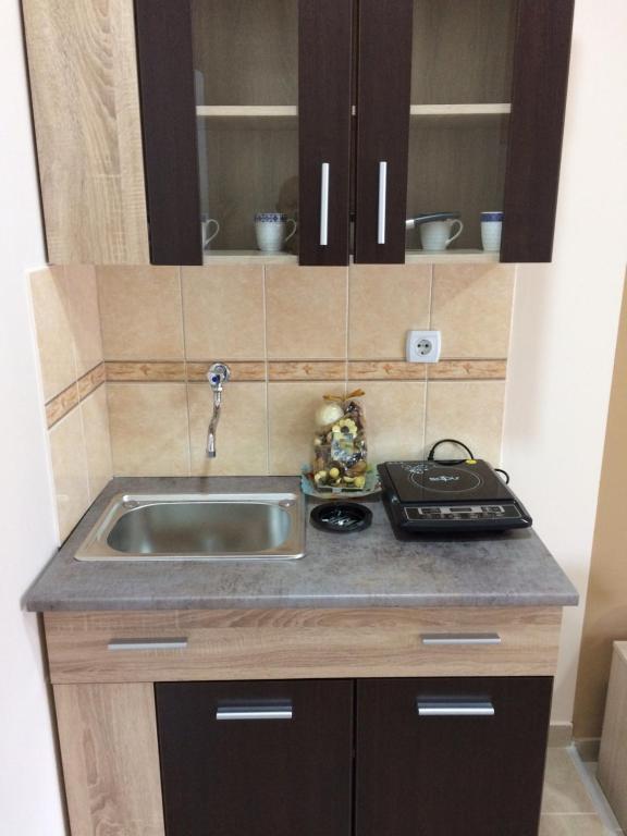 una piccola cucina con lavello e fornello di Sobe SANjA a Pirot