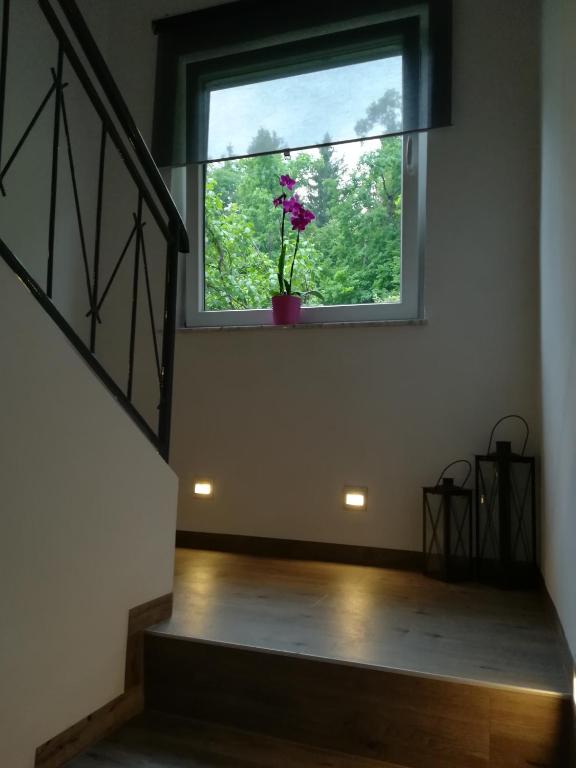 Fotografie z fotogalerie ubytování Apartments Justin v Bledu