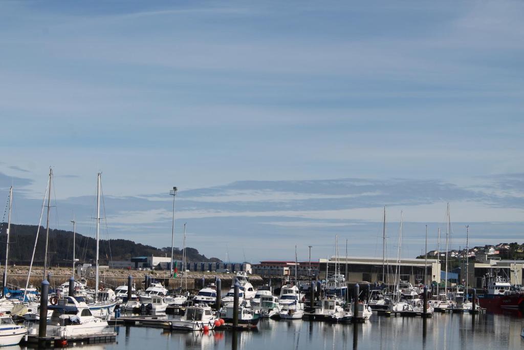 Un montón de barcos están atracados en un puerto en Viveiro, en Viveiro