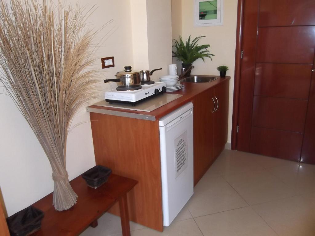 Kuchyň nebo kuchyňský kout v ubytování Mariana Hotel