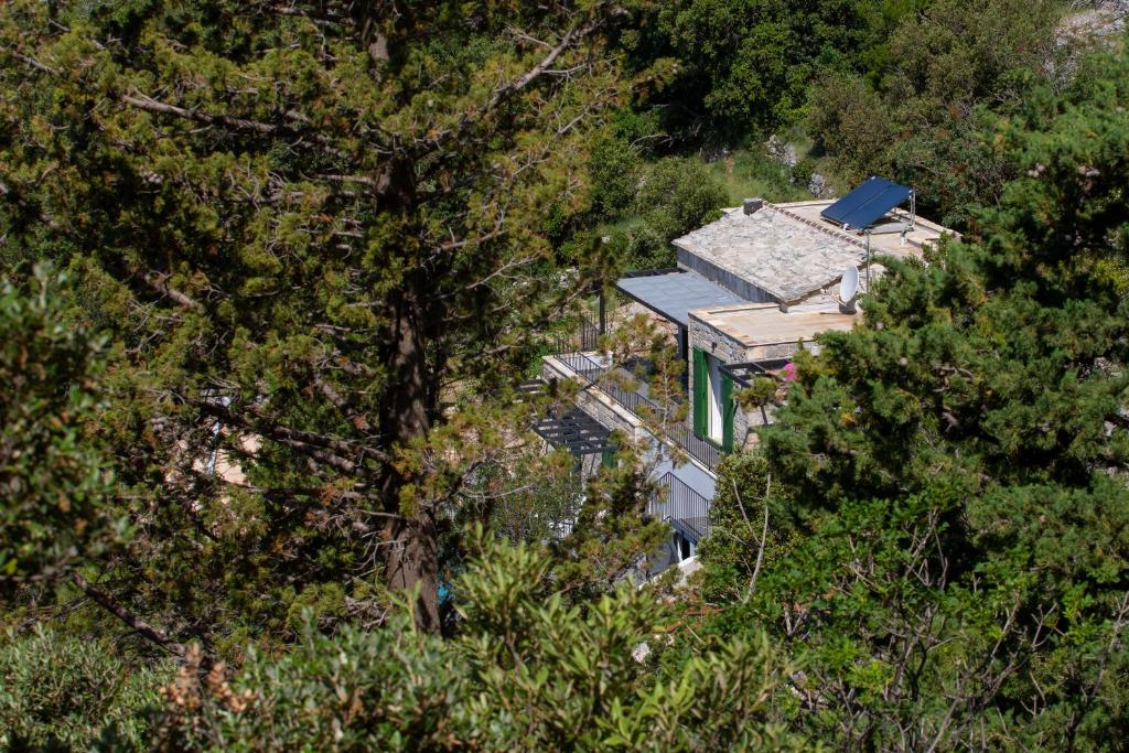 Príroda v okolí of the country house
