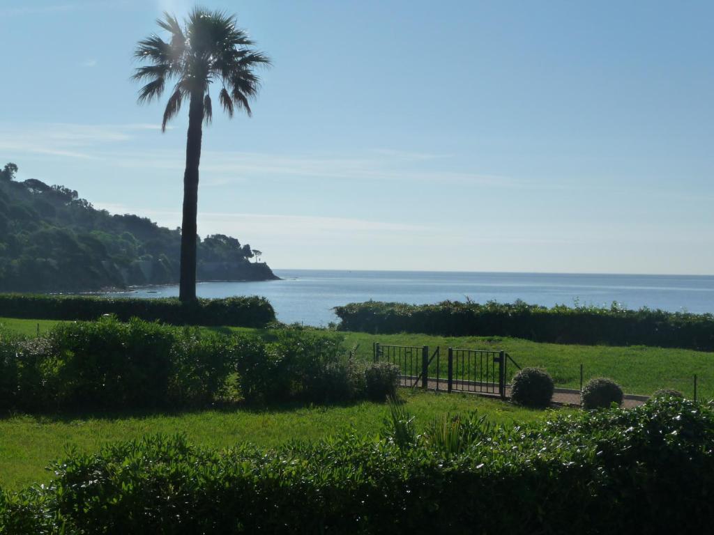 サント・マキシムにあるGrand Azur Etoile Marineの海を背景にした畑のヤシの木