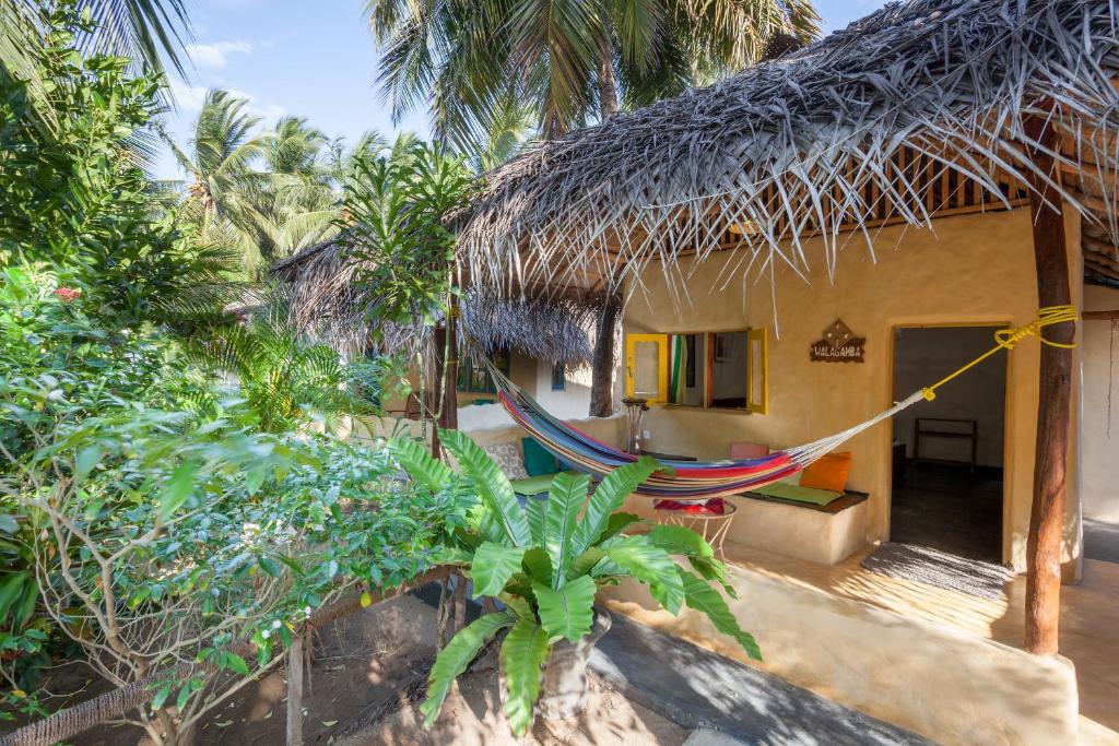 Zahrada ubytování De Silva Wind Resort Kalpitiya - Kitesurfing School Sri Lanka