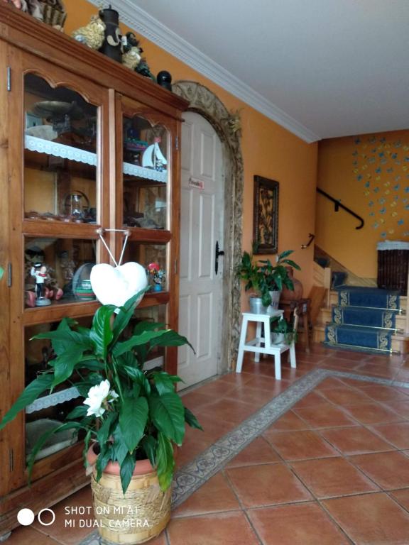 Fotografia z galérie ubytovania Posada La Mies v destinácii Noja
