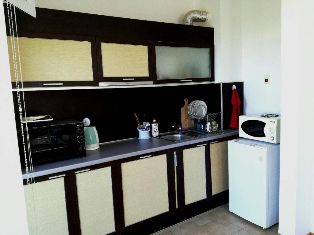 Kuchyň nebo kuchyňský kout v ubytování Apartment Stoyanovi